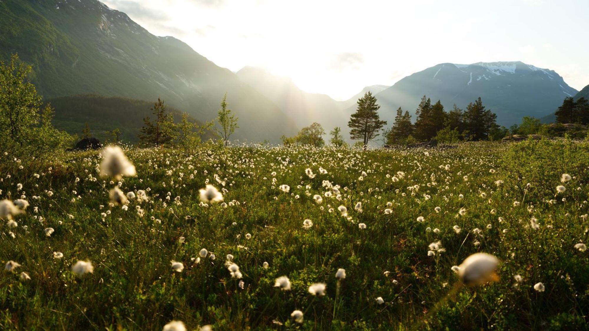 Hotell Utsikten - By Classic Norway 3*